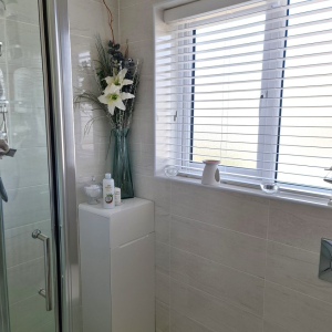room_to_rent_leixlip_bathroom_2