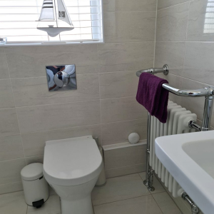 room_to_rent_leixlip_bathroom_3