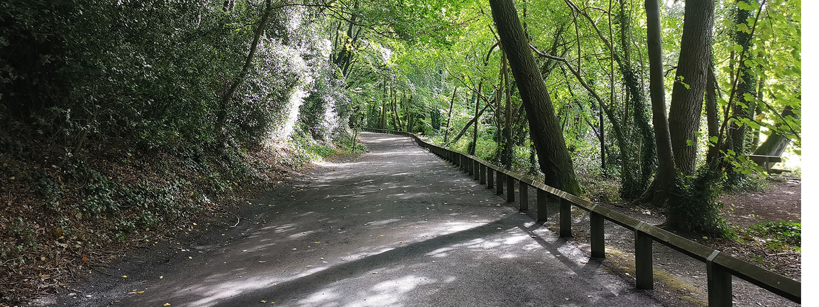 room_to_rent_leixlip_liffey_walk