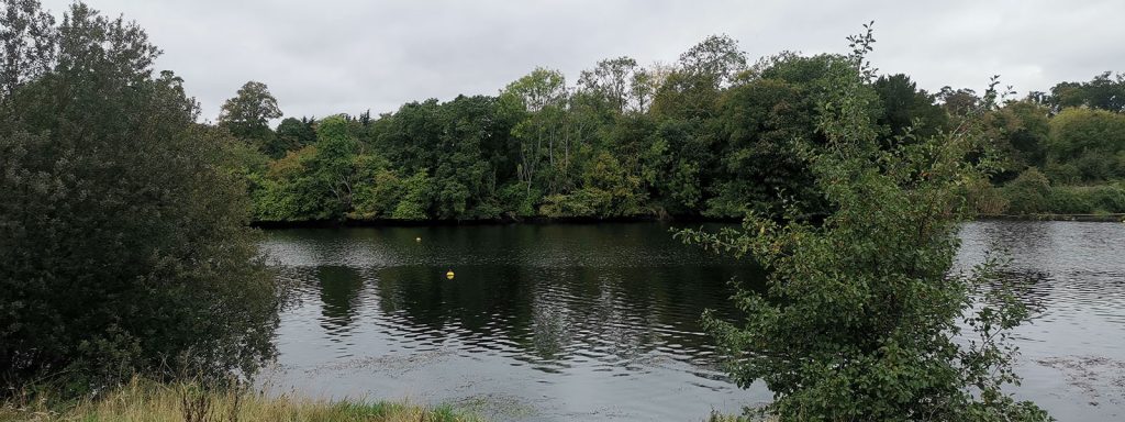 room_to_rent_leixlip_river_liffey